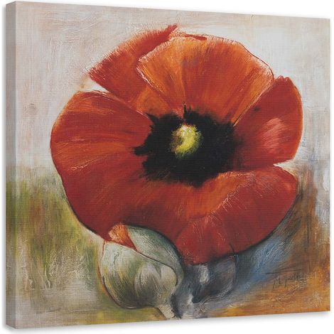 Tableau déco Coquelicot Fleurs Acrylique 50x50 (1/5)