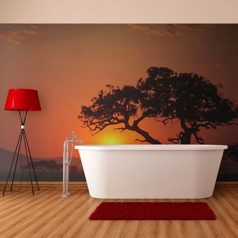 Papier peint afrique : coucher de soleil - 400 x 309 cm (1/4)