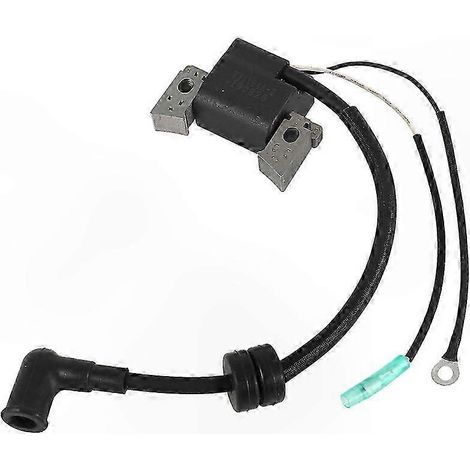 Bobine d'allumage pour moteur de bateau 4 temps 6 CV, modèles F4L, F4S et F6 (1/4)