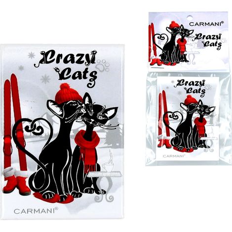 Carmani, der Magnet – Winterkatzen mit Skiern (1/3)