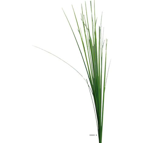 Isolepsis artificiel H 70 cm en tige vert ouvert superbe (1/3)