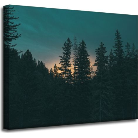 Leinwanddruck Natur Wald in der Abenddämmerung 50x40 cm Dunkelheit
