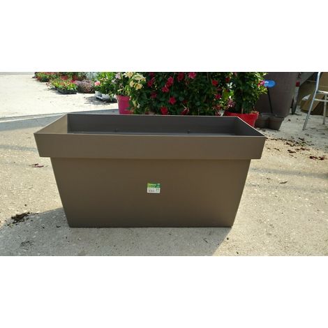 N. 1 VASO COMPLETO CON N. 2 PIANTE DI ALLORO ALTEZZA 160 CM-VASO BEIGE SCURO