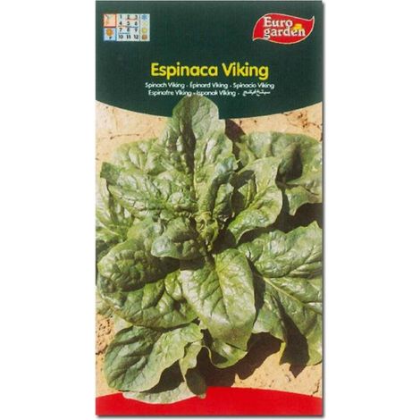 semillas fito horticolas espinaca viking 00115 (caja 10 unidades)