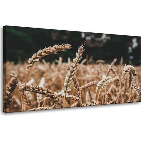 Leinwanddruck „Weizenfeld“ (80 x 40 cm) – Erntezeit