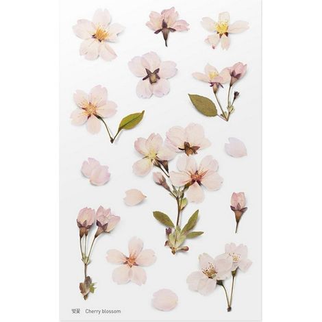 Dekorative Blumenaufkleber - Kirsche