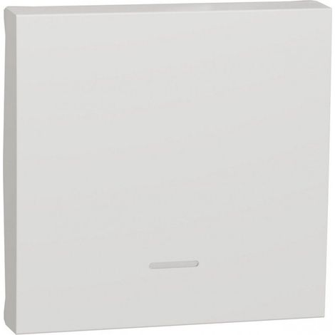 Chiave 2 moduli con visore polare SCHNEIDER NU920018N