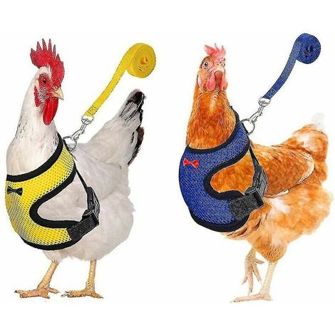 Harnais et laisse pour poule 2 pièces, réglable respirant, spécialement conçu pour l'entraînement et la promenade de poulet, canard, oie. (1/5)