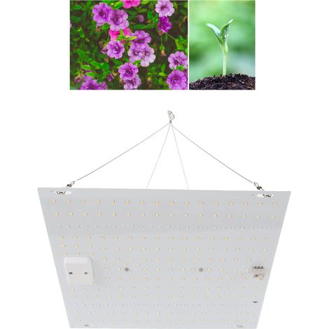Lampes de croissance à LED pour plantes d'intérieur IP65 Lampes de croissance de plantes à spectre complet étanches pour semis, végétation et floraison AC100-277 V Prise UE,DUBUNS (1/5)