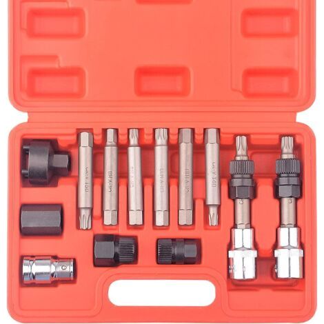 13 pièces poulie roue libre alternateur voiture garage kit outils Hex Spline Star Bits (1/5)