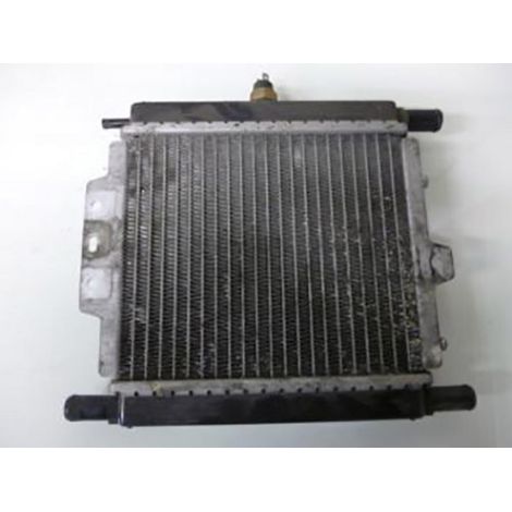 [PRODUIT D'OCCASION] Radiateur de refroidissement origine pour scooter Peugeot 125 (1/2)