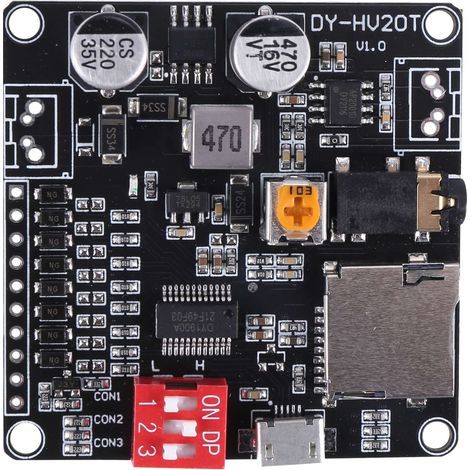 Alimentation applicable DY-HV20T 12 V / 24 V Module de Lecture Vocale 10 W / 20 W Prenant en Charge Le Lecteur de Musique MP3 de Carte -SD pour