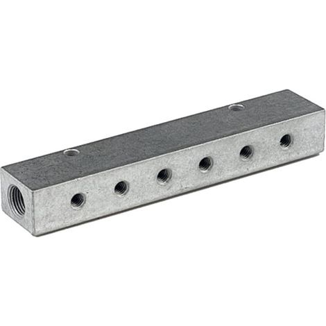 Riegler Verteilerleiste, Abgänge einseitig, Eingang 2x1/8, Ausgang 6xM5 (1/4)