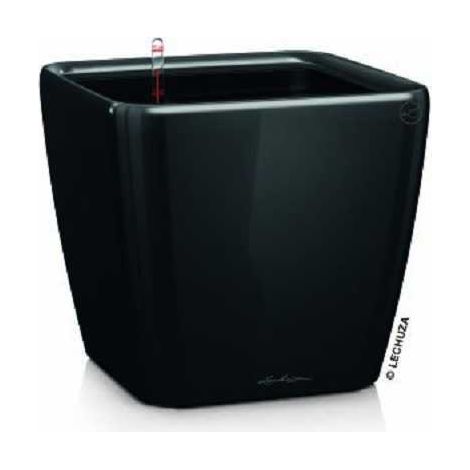 LECHUZA QUADRO Premium LS 43 Komplettset schwarz hochglanz