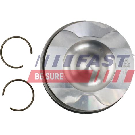 FT47136/0 pistone veloce (1/3)
