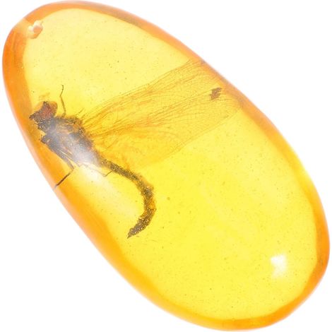 Spécimen Insecte Résine Pierre Décorative Ornement Unique Ambre Collection et Décoration Intérieure Modèle Libellule (1/5)