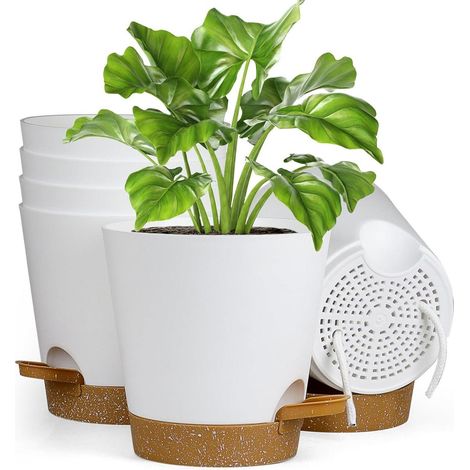 Blumentopf selbstbewässernd 6er Untersetzer Φ 17.8cm Weiß brown Tray (1/5)
