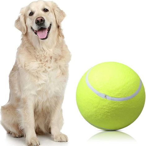 [NEVER USED] Inflatable tennis ball for dogs
