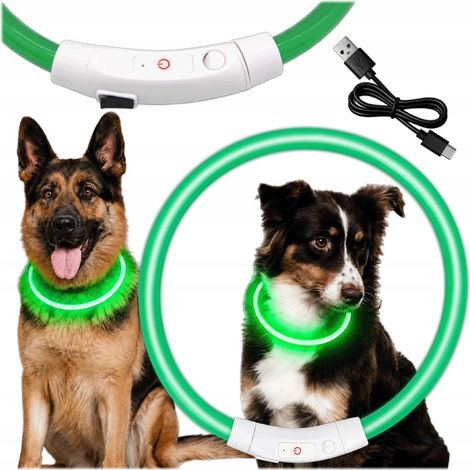 Collar luminoso para perro con LED verde USB, 3 modos de iluminación, neón ajustable (1/5)