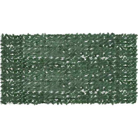 vidaXL Toldo para balcón con hojas verde oscuro 300x150 cm (1/5)