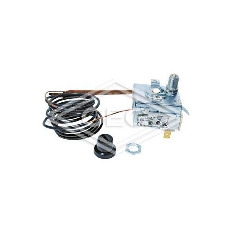 Thermostat de sécurité, Riello 24020