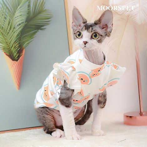 Vêtements pour animaux de compagnie (chien/chat) à motif fraise Taille S (1/4)