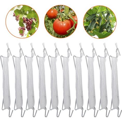 REWYTAZ - Juego de ganchos robustos para tomates con hebillas para plantas y cuerda. (1/5)