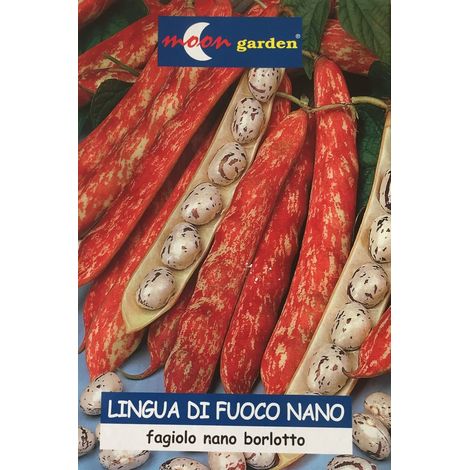 Fagiolo Lingua di fuoco nano 500 g