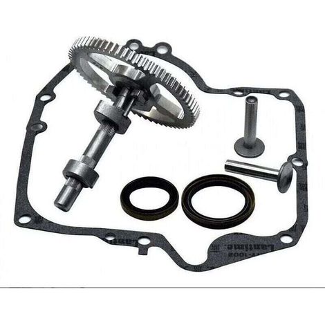 Arbre à cames Briggs & Stratton 793880 793583 792681 791942 795102 Kit de remplacement de came avec joint d'huile 795387 et joints de carter Ruikalucky 697110 LKBD (1/4)