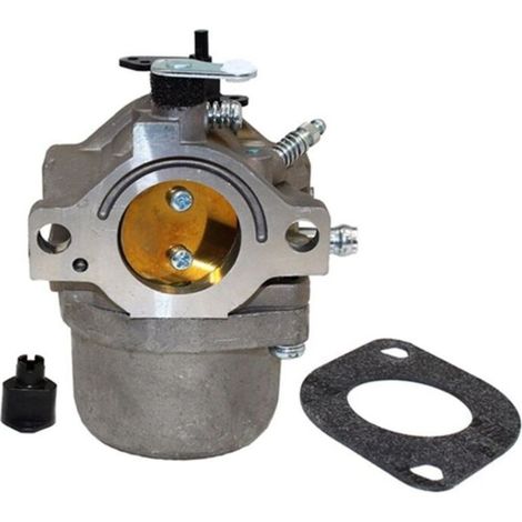 Carburateur pour tondeuses Briggs Stratton 799728 286707 288702