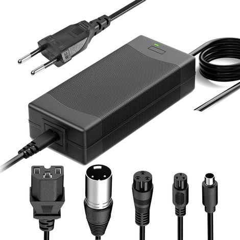 Chargeur universel pour vélos électriques, connecteurs 5 en 1, 58,8 W