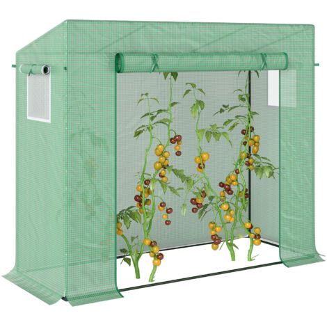 royaluxe -Serre de jardin en aluminium, avec porte enroulable et fenêtre latérale, en acier et plastique, 200 x 76 x 168 cm, verte (1/5)
