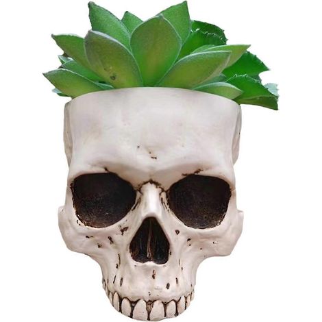 Décoration jardin Halloween - Crâne succulent - Pot fleur gothique - Extérieur - Blanc (1/5)