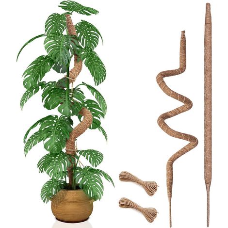 Juego de 2 soportes flexibles de 89 cm (35 pulgadas) para plantas, ideales para musgo, monstera y plantas trepadoras varillas de soporte para enrejados de jardín de interior. (1/5)