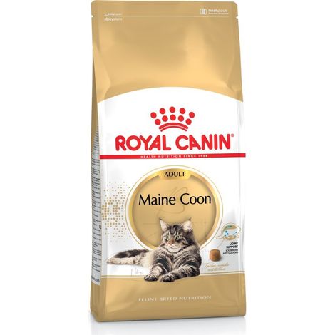 Royal Canin Katzenfutter Maine Coon Adult 4 kg Trockenfutter Katze