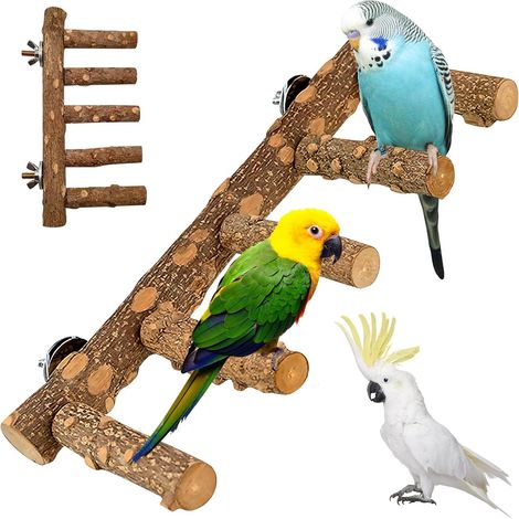 Perchoir Perroquet, Perchoir en Bois Naturel, Perchoirs en Bois Échelle en Bois pour Jouets d'oiseaux, Branches en Bois de Cage à Oiseaux pour Canaris, Perruches, Inséparables (11×31 cm) (1/5)
