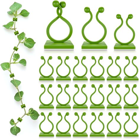 Clips de fixation murale pour plantes grimpantes, lot de 20, adhésif transparent, support pour plantes, gestion des câbles, sans perçage (1/5)