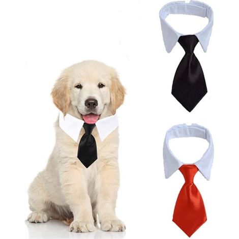 Zweiteiliges Halsband für Haustiere (Hund und Katze), verstellbar und waschbar. (L, schwarz, rot) (1/5)