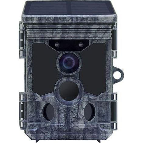 Caméra de chasse Stealth Gear Fox Solar 4K 4K solaire (1/3)
