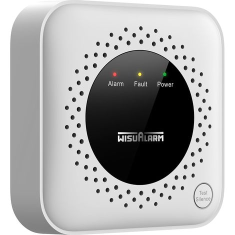 Détecteur de gaz Propane, détecteur de Fuite de GPL, adapté à la Cuisine, avec Prise UE, Norme en 50194 (1/5)