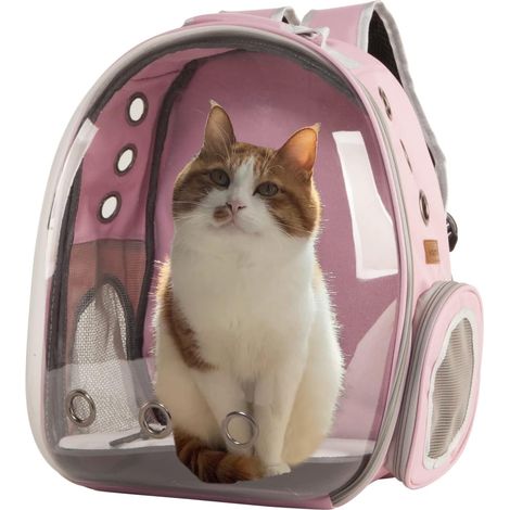 Sac de transport pour chat avec hublot transparent sac à dos pour petit chien et chaton accessoire pour randonnée