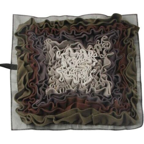 Tapis De Fouille Chien GrandTaille Tapis De Jeu Grand Chien Jouet pour Chiot Tapis educateur Chien Jeux pour Chien Améliorer la sensibilité de l'odorat des Animaux domestiques (1/5)