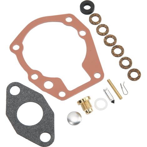 Kit de réparation de carburateur 16 pièces 398532, kit de réfection de carburateur avec flotteur pour Johnson Evinrude 2-4 hp (1/5)