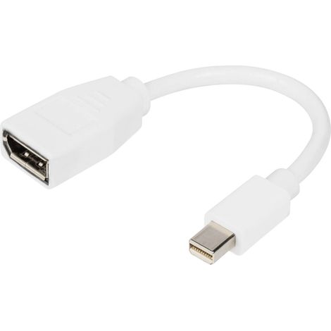 Adaptateur Digitus Fiche mâle DisplayPort, Fiche mâle Mini DisplayPort 0.15 m blanc DB-340405-001-W Câble DisplayPort S566882 (1/2)