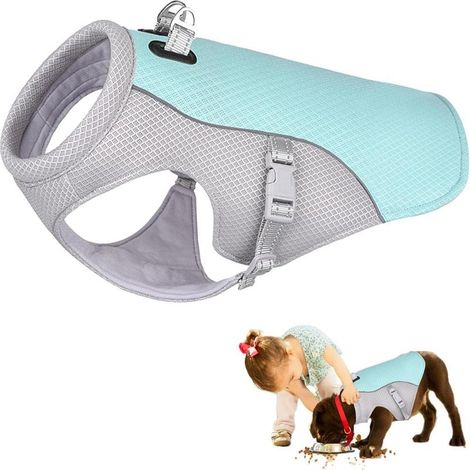 Extérieur, promenade, chasse, randonnée, été - Avec anneau en D réglable - Gilet rafraîchissant pour chiens (Bleu, S) - Veste rafraîchissante pour chiens (1/3)