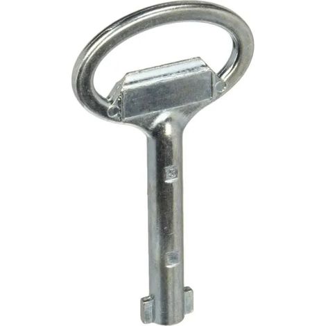 Doppelbartschlüssel Schneider Electric nsyldb5 Metall 9 x 4.5 cm