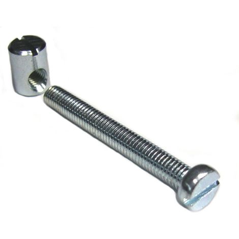 Vis cylindrique fendue et plot Strauss Vonderweidt x4