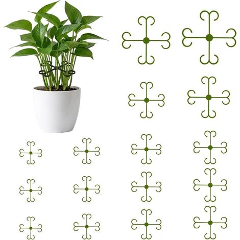 Support de tige de plante Monstera pour plantes grimpantes d'intérieur, support durable pour plantes grimpantes d'intérieur, stabilisateur réglable pour jardin (vert, 8) (1/5)