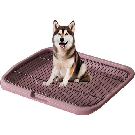 Tapis d'apprentissage de la propreté pliable pour chien avec filet amovible, bac à pipi à entrée basse pour chiots, utilisable à l'i (1/5)