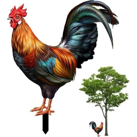 Figurine décorative coq en acrylique imperméable – Sculpture réaliste pour jardin – Effraie nuisibles – Durable et facile à installer – Outhwaite
